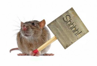 Be as quiet as a rat